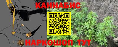 шишки Жуковский