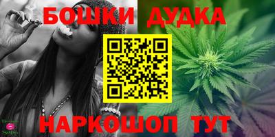 шишки Жуковский
