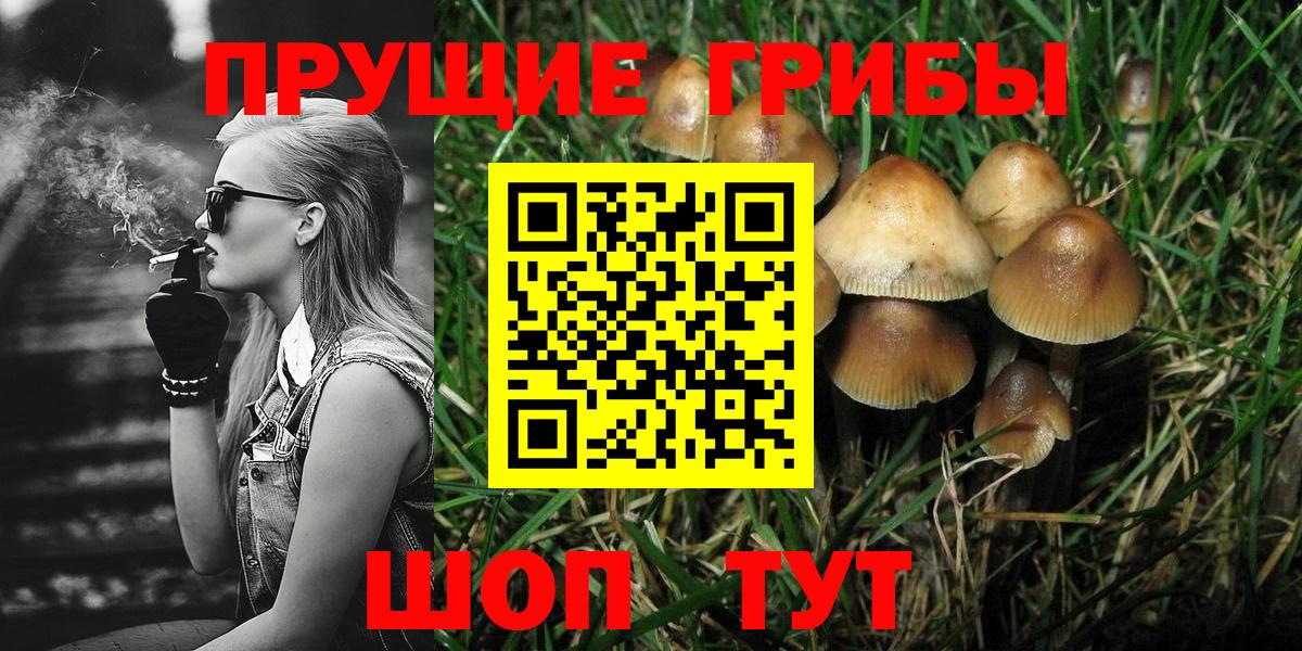 Галлюциногенные грибы Psilocybe Лангепас